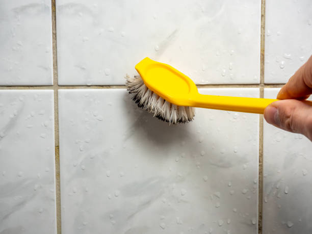 Trusted Spotsylvania Courthouse, VA Mold Removal Experts