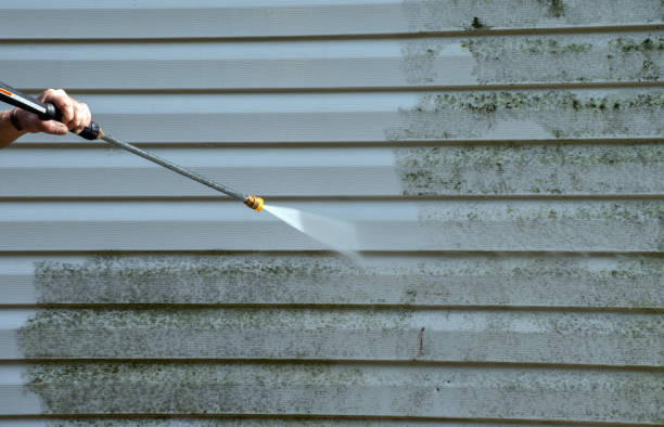Best Local Mold Removal Service  in Spotsylnia Courthouse, VA