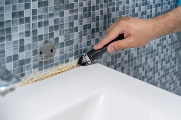 Best Affordable Mold Removal  in Spotsylnia Courthouse, VA